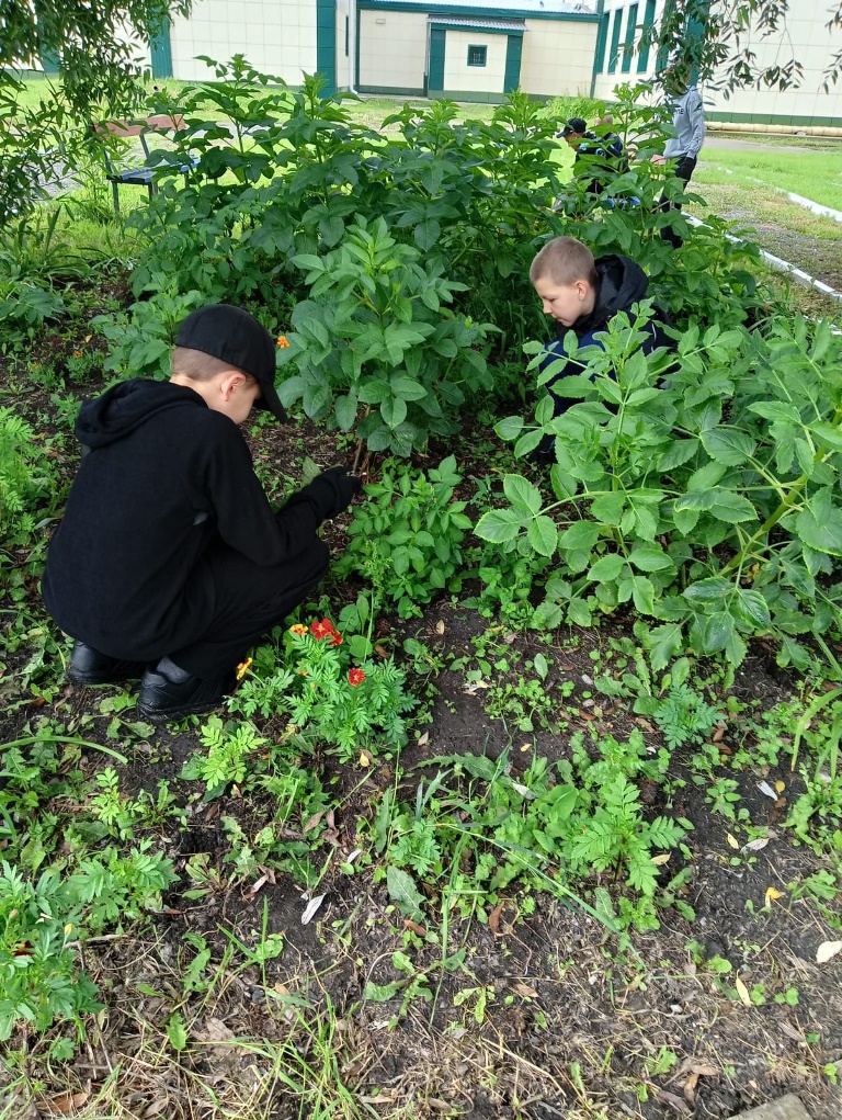 На пришкольном участке продолжает работу наша трудовая бригада. Сухой траве, сорнякам и мусору нет места на территории. Молодцы ребята!.