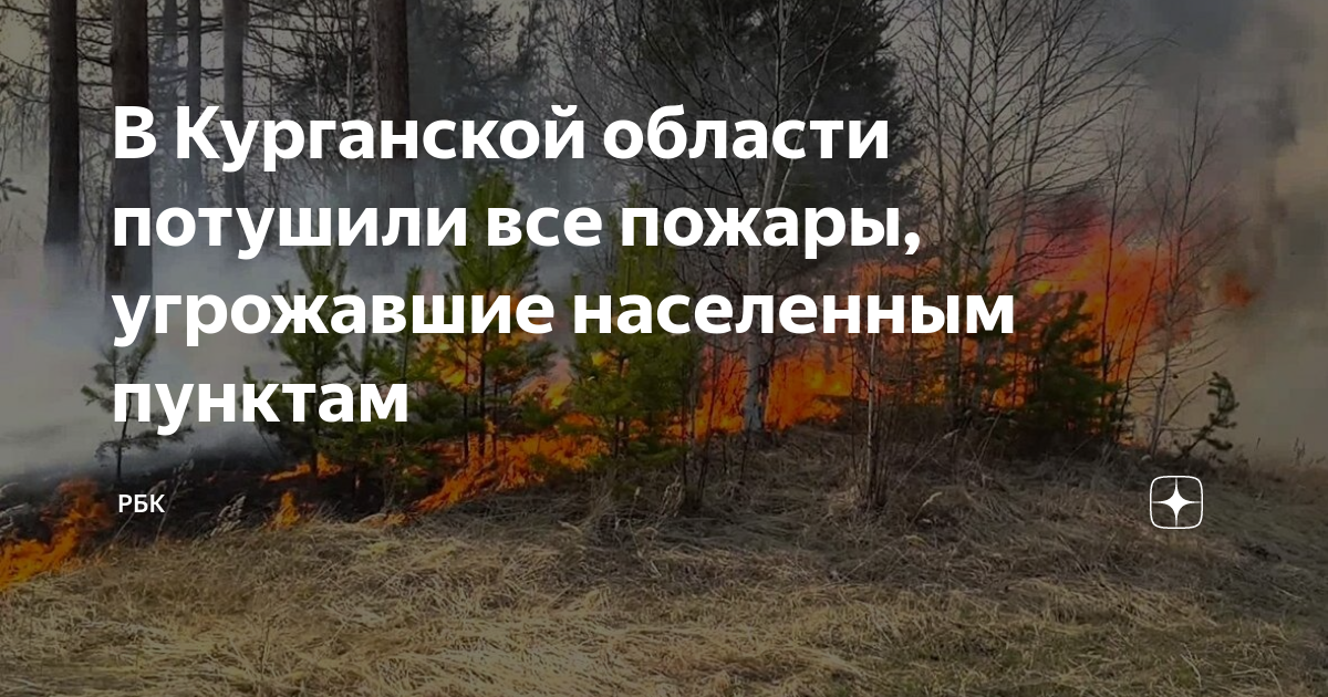 В Курганской области ликвидировали все ландшафтные пожары, угрожавшие населенным пунктам..